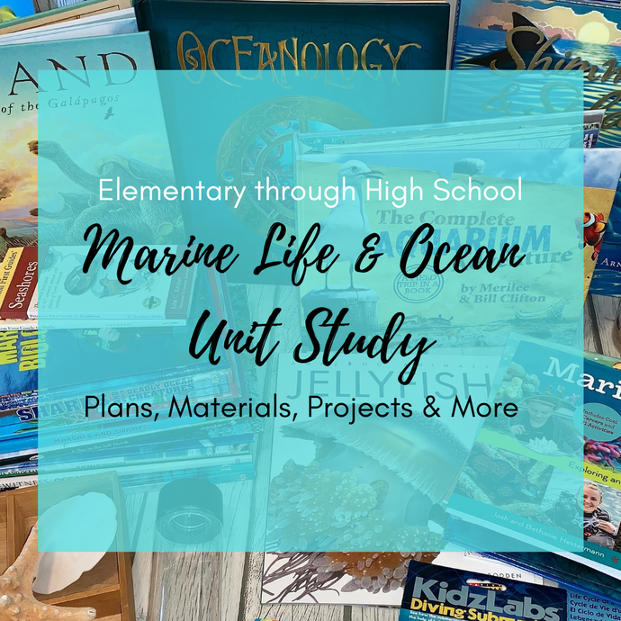 Marine Life & Ocean Unit Study