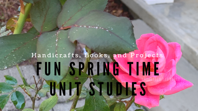 Unit Study Ideas for Spring