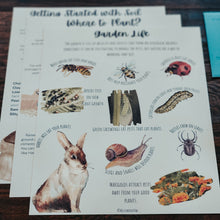 Load image into Gallery viewer, Gardening Unit Study: A guide for Teens or Beginners