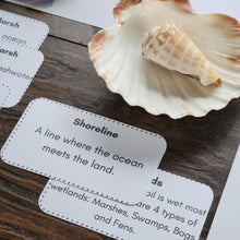 Load image into Gallery viewer, Exploring Beaches & Marshes: A Mini Unit Study with Links