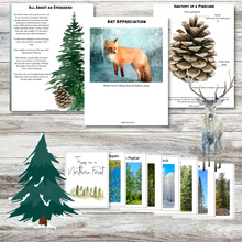 Load image into Gallery viewer, Winter Forest: A Unit Study