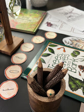 Load image into Gallery viewer, North American Forest Wildlife Bundle with Anatomy, Life Cycle Posters & Activities