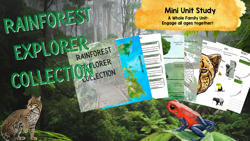 Rainforest Explorer Mini Unit Study