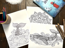 Load image into Gallery viewer, The Sea in Winter Book Study