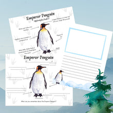Load image into Gallery viewer, Arctic Animal Anatomy Bundle with Penguin, Polar Bear, & Wolf