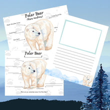 Load image into Gallery viewer, Polar Bear Anatomy Pack