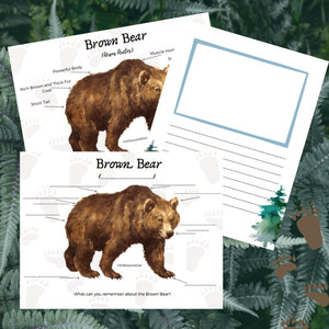 North American Forest Wildlife Bundle with Anatomy, Life Cycle Posters & Activities
