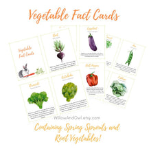 Load image into Gallery viewer, Vegetable Fact Cards & Anatomy