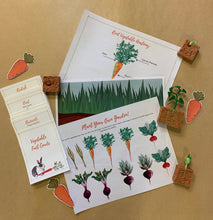 Load image into Gallery viewer, Vegetable Fact Cards & Anatomy