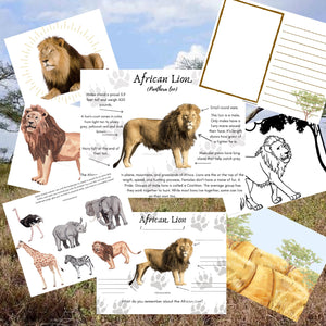 African Lion Anatomy Pack with Activities