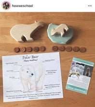 Load image into Gallery viewer, Polar Bear Anatomy Pack
