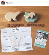 Load image into Gallery viewer, Polar Bear Anatomy Pack