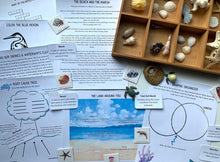 Load image into Gallery viewer, Exploring Beaches & Marshes: A Mini Unit Study with Links