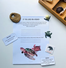 Load image into Gallery viewer, Exploring Beaches & Marshes: A Mini Unit Study with Links