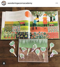 Load image into Gallery viewer, Vegetable Fact Cards & Anatomy