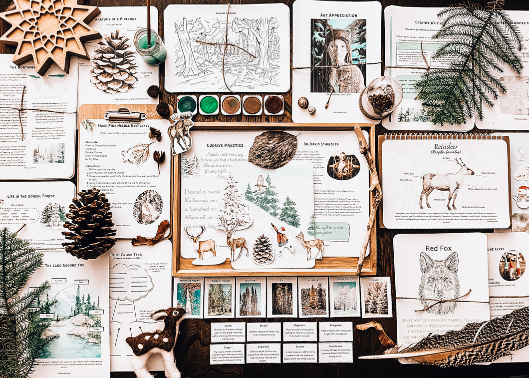 Winter Forest: A Unit Study