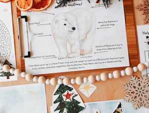 Polar Bears- A mini unit study