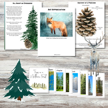 Load image into Gallery viewer, Winter Forest: A Unit Study
