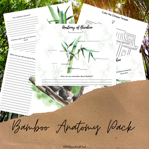 Bamboo Anatomy Pack -NEW!