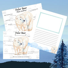 Load image into Gallery viewer, Polar Bear Anatomy Pack
