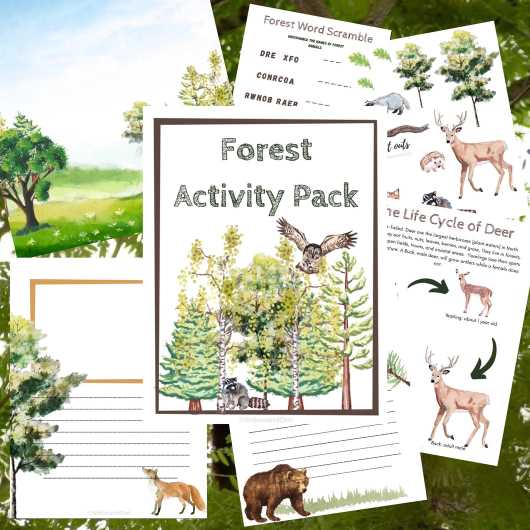 North American Forest Wildlife Bundle with Anatomy, Life Cycle Posters & Activities