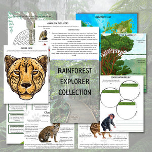 Rainforest Explorer Collection and Mini Unit Study